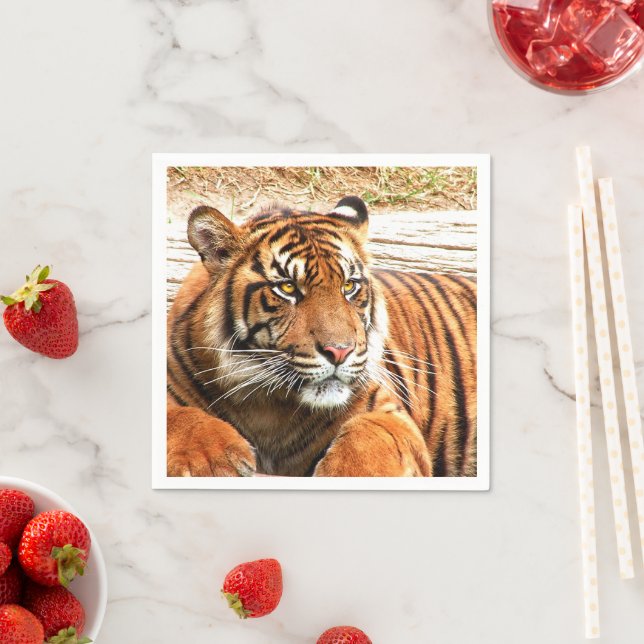 Guardanapo De Papel Tigre (Insitu)