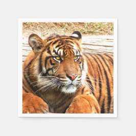 Guardanapo De Papel Tigre