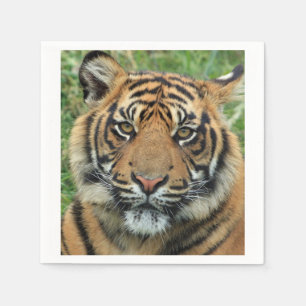 Guardanapo De Papel Tigre