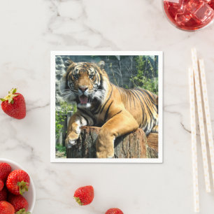 Guardanapo De Papel Tigre