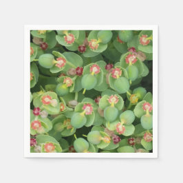 Guardanapo De Papel Tiny Green Flora