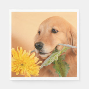 Guardanapo De Papel Todos Os Ouros De Ocasião Cachorro De Retriever Co
