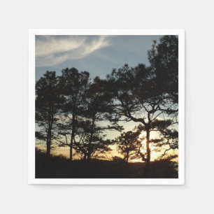 Guardanapo De Papel Torrey Pine Sunset II, área da Califórnia