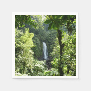 Guardanapo De Papel Traffic Falls Tropical RainForest Fotografia