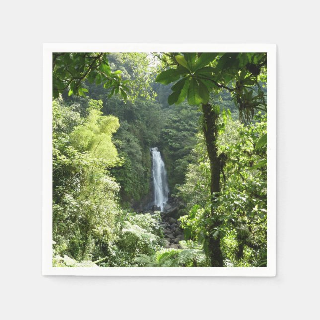 Guardanapo De Papel Traffic Falls Tropical RainForest Fotografia (Frente)