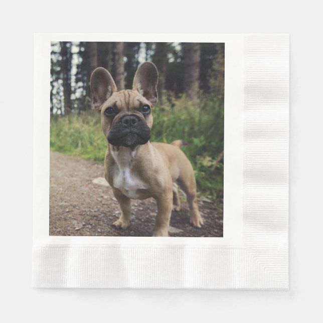 Guardanapo De Papel Travesseiro de French Bulldog (Frente)