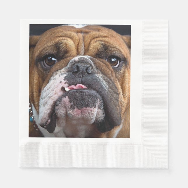 Guardanapo De Papel Travesseiro decorativo Inglês Bulldog (Frente)