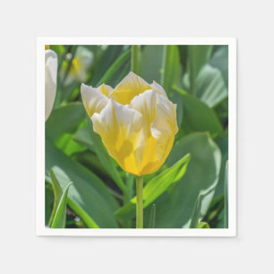 Guardanapo De Papel Tulipa amarela e branca