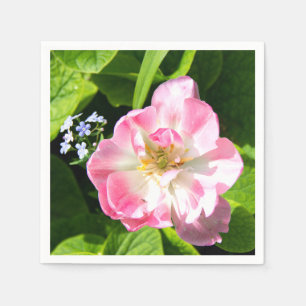 Guardanapo De Papel Tulipa rosa-branca