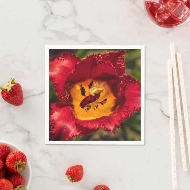 Guardanapo De Papel tulipa vermelha (Insitu)