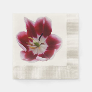 Guardanapo De Papel Tulipa vermelha profunda