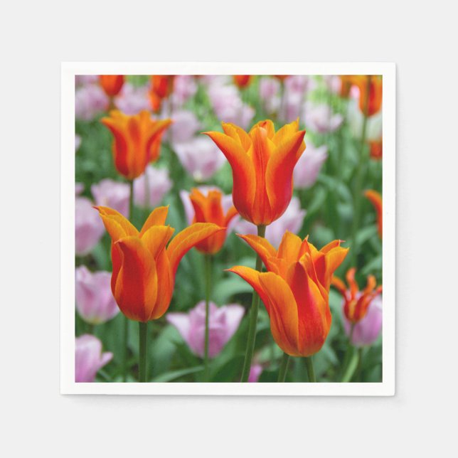 Guardanapo De Papel Tulipas laranja-claras no parque (Frente)