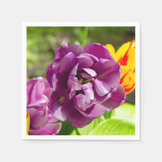 Guardanapo De Papel Tulipas lilás num dia ensolarado (Frente)