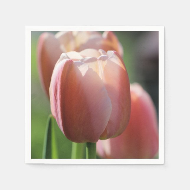 Guardanapo De Papel Tulipas Rosa (Frente)