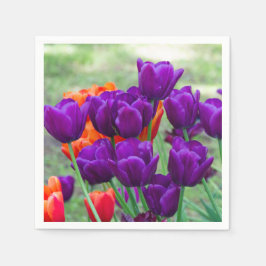 Guardanapo De Papel Tulipas roxas escuras num dia ensolarado no jardim