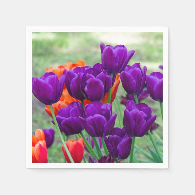 Guardanapo De Papel Tulipas roxas escuras num dia ensolarado no jardim (Frente)