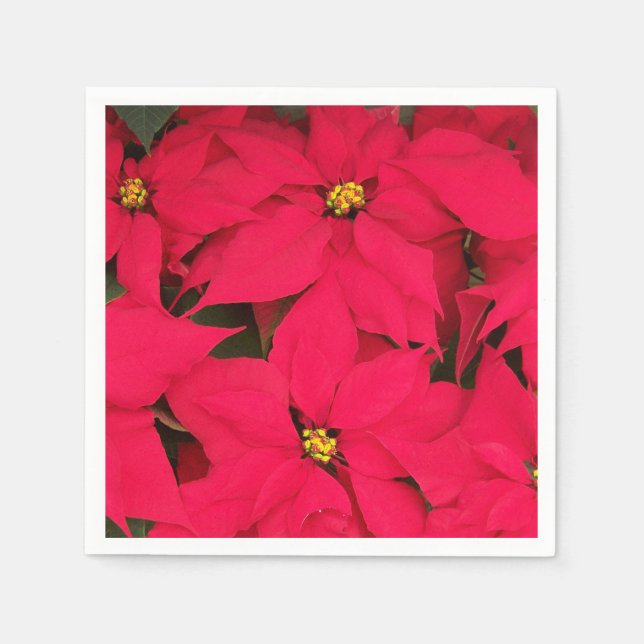 Guardanapo De Papel Um monte de Poinsettias de Natal Brilhante (Frente)