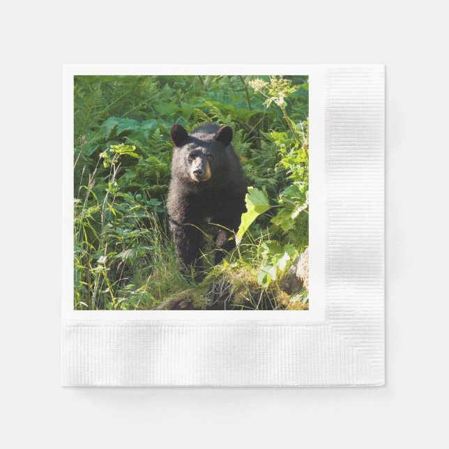 Guardanapo De Papel Urso Preto Curioso (Frente)