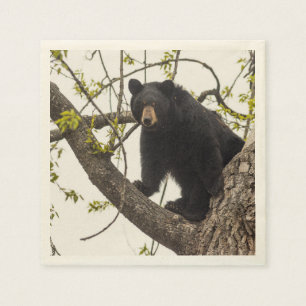 Guardanapo De Papel Urso preto de escalada
