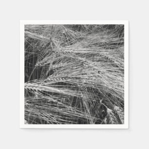 Guardanapo De Papel Ursos de cevada (Hordeum vulgare)