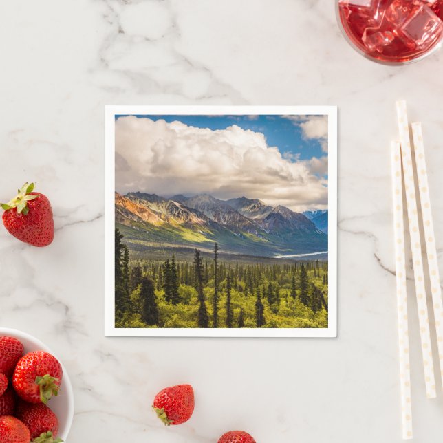 Guardanapo De Papel Vale de Matanuska, sudeste do Alasca #2 (Insitu)