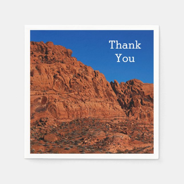 Guardanapo De Papel Vale do Fogo (Frente)