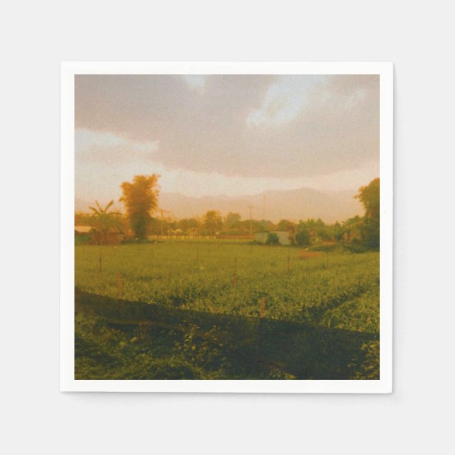 Guardanapo De Papel Vang Vieng - Laos (Frente)