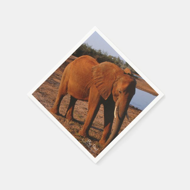 Guardanapo De Papel Vermelho Grande (Canto)