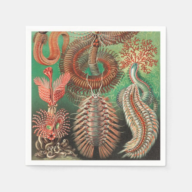 Guardanapo De Papel Vermes, Annelids Chaetopoda por Ernst Haeckel (Frente)