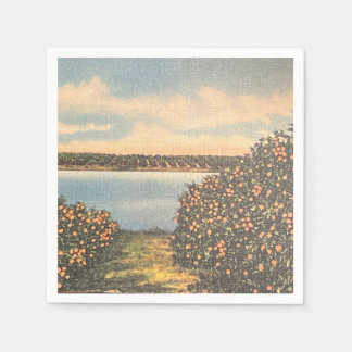 Guardanapo De Papel Vintage Florida Orange Grove Napkin