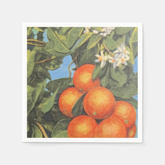 Guardanapo De Papel Vintage Orange Blossom Citrus (Frente)