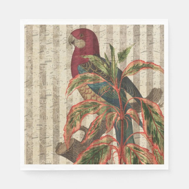 Guardanapo De Papel Vintage Parrot Tropical (Frente)