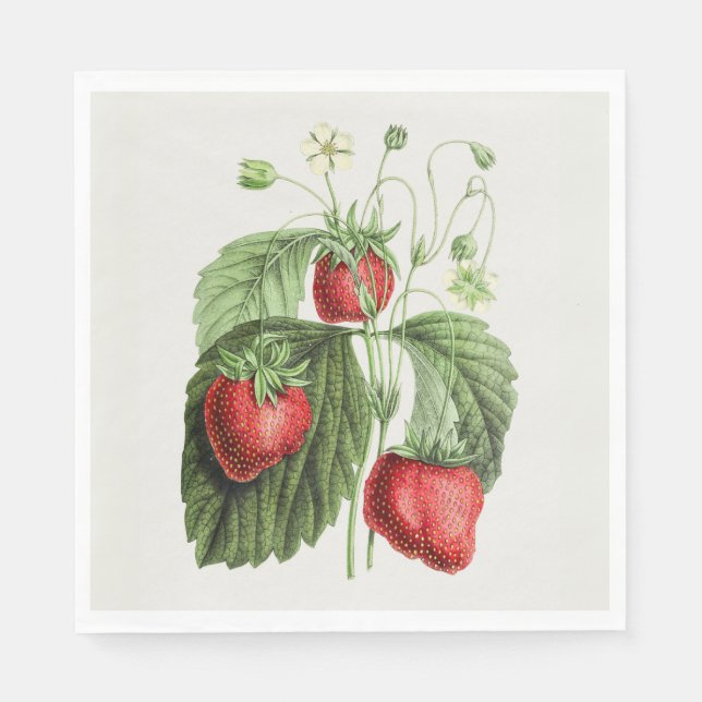 Guardanapo De Papel Vintage Strawberry (Frente)