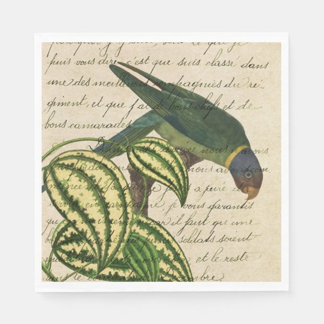 Guardanapo De Papel Vintage Tropical Parrot (Frente)