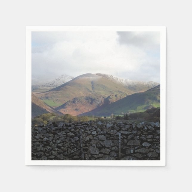 GUARDANAPO DE PAPEL VISÕES DAS PAREDES (Frente)