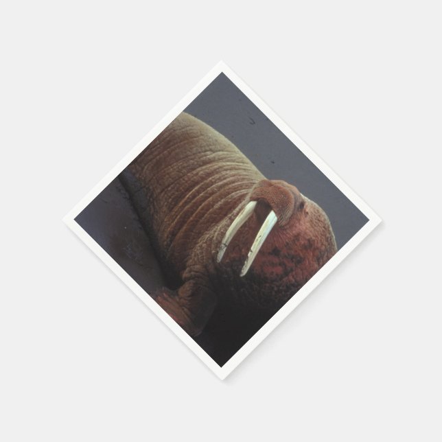 Guardanapo De Papel Walrus (Canto)