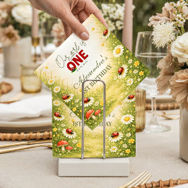 Guardanapo De Papel Whimsical Garden Lady Bug 1st Birthday