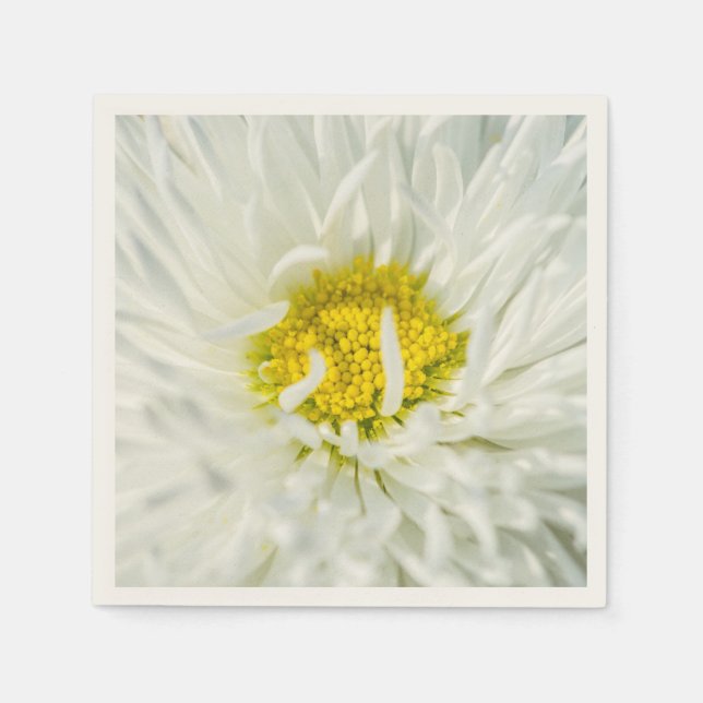 Guardanapo De Papel White English Daisy Flower (Frente)