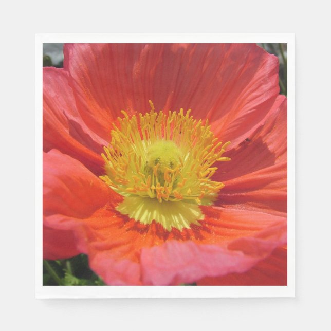 Guardanapo De Papel White Luncheon Paper Napkins SEMENTE FELIZ PAPAI V (Frente)