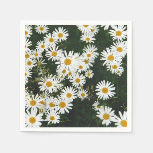 Guardanapo De Papel White Oxeye Daisy Meadow