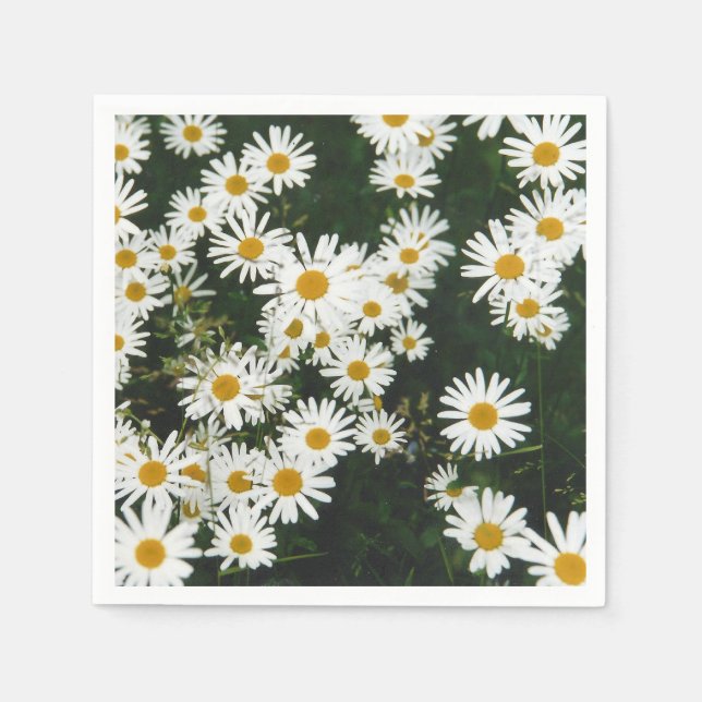 Guardanapo De Papel White Oxeye Daisy Meadow (Frente)