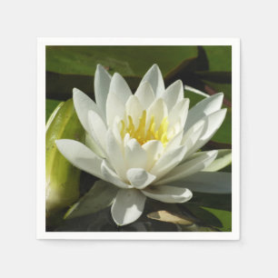 Guardanapo De Papel White Waterlily e Bud Floral