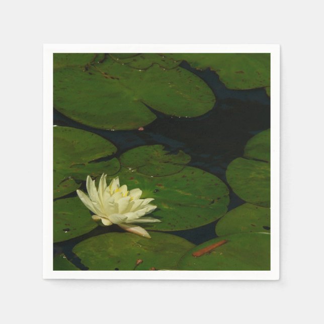 Guardanapo De Papel White Waterlily I Peaceful Floral Fotografia (Frente)