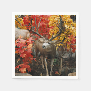 Guardanapo De Papel Whitetail No Outono