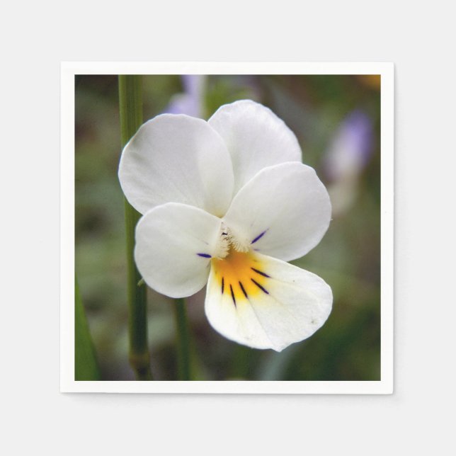 Guardanapo De Papel Wild Pansy Paper Napkins (Frente)