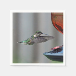 Guardanapo De Papel Wildlife Hummingbird Red Feeder Photo