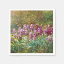 Willows e Irlandeses por um Creek