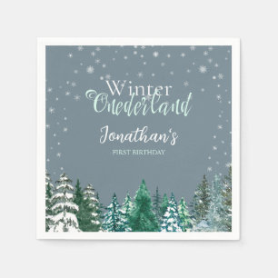 Guardanapo De Papel Winter Onederland First Birthday snowscape