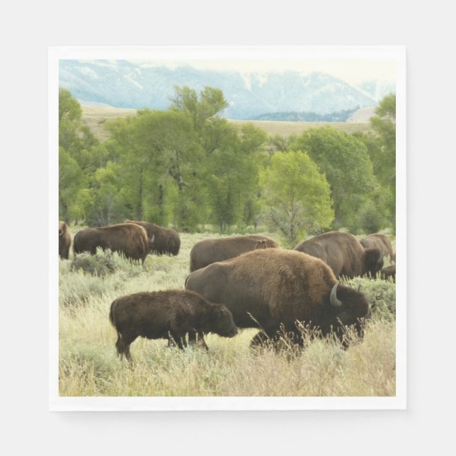 Guardanapo De Papel Wyoming Bison Nature (Frente)