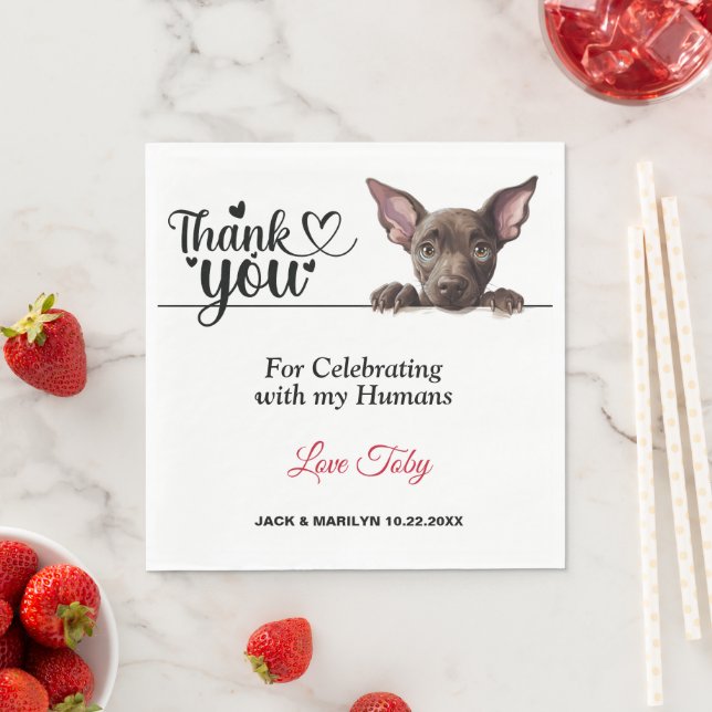 Guardanapo De Papel Xoloitzcuinti Peeking Dog Paper Napkins (Insitu)